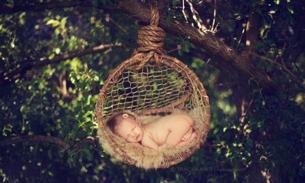 Sleeping Babies by Kelley Ryden and Tracy Raver