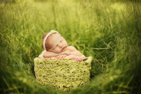 Sleeping Babies by Kelley Ryden and Tracy Raver
