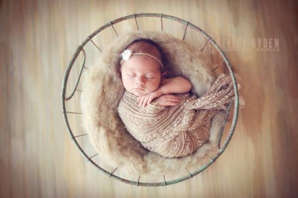 Sleeping Babies by Kelley Ryden and Tracy Raver