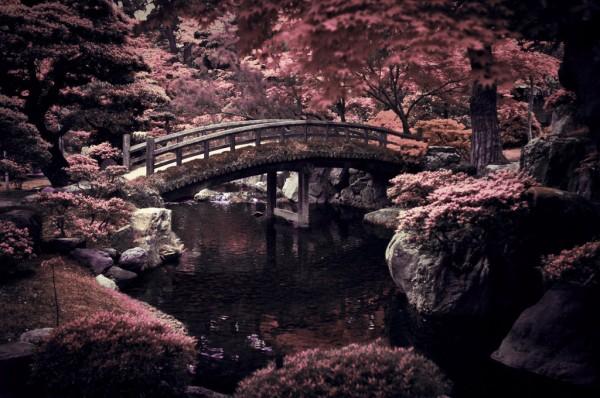 Photograph by david-plus-1