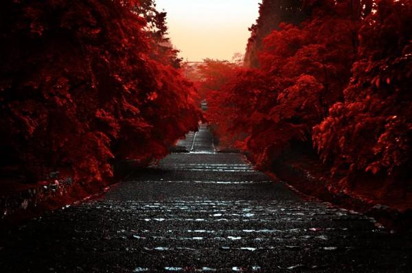 Photograph by david-plus-1