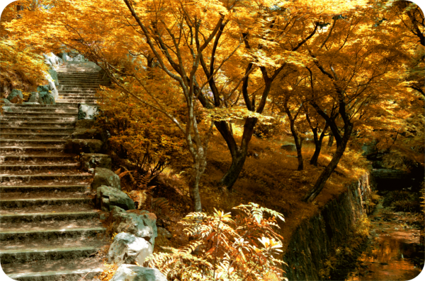 Photograph by david-plus-1