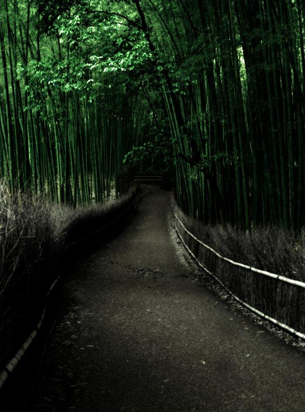 Photograph by david-plus-1
