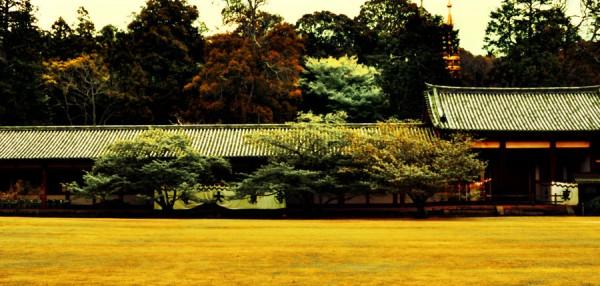 Photograph by david-plus-1