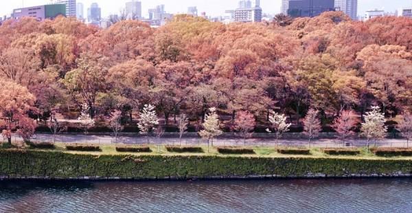 Photograph by david-plus-1