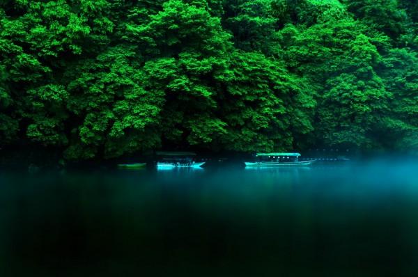 Photograph by david-plus-1
