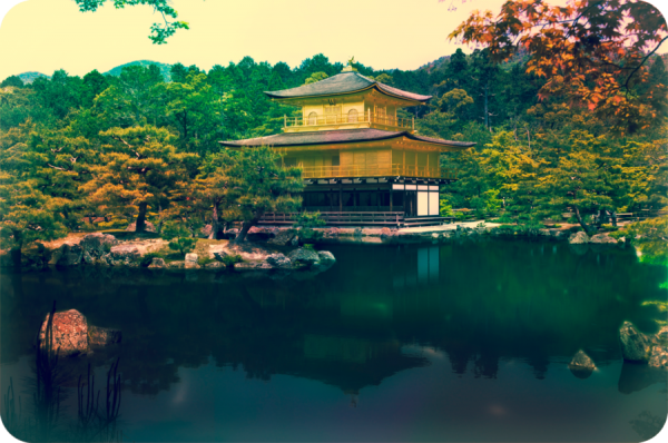 Photograph by david-plus-1