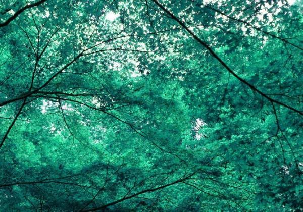 Photograph by david-plus-1