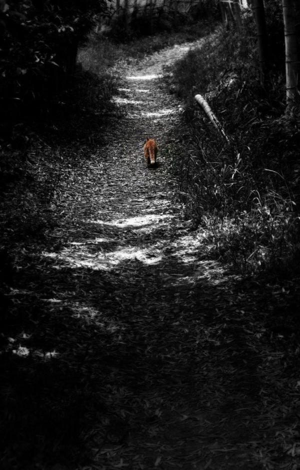 Photograph by david-plus-1