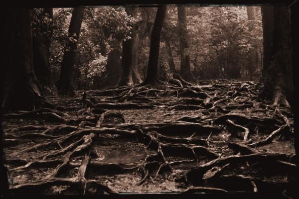 Photograph by david-plus-1