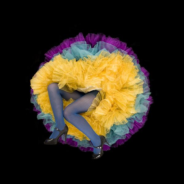 Crinoline Flowers by Daryl Banks