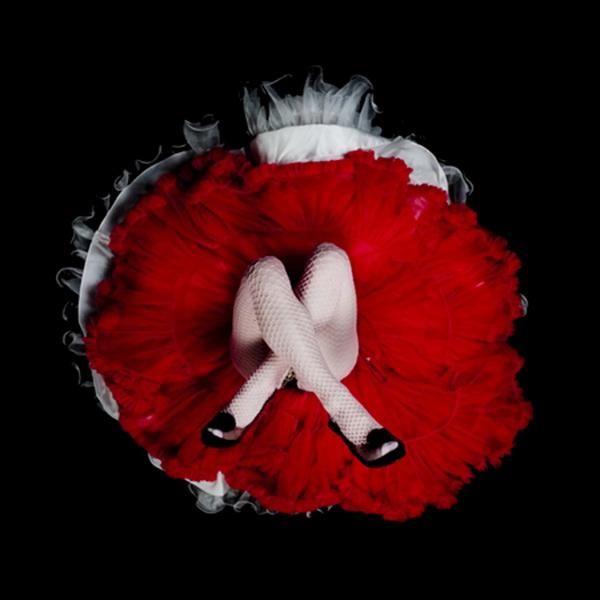 Crinoline Flowers by Daryl Banks