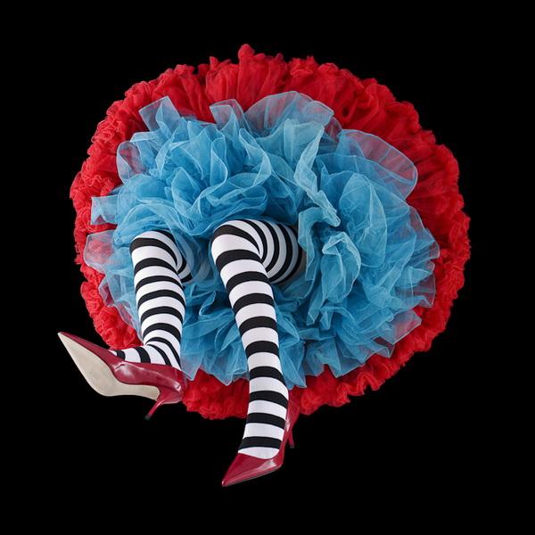 Crinoline Flowers by Daryl Banks