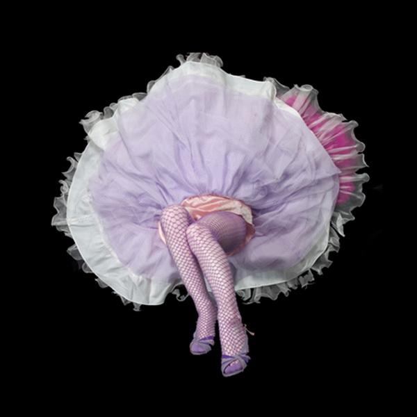 Crinoline Flowers by Daryl Banks