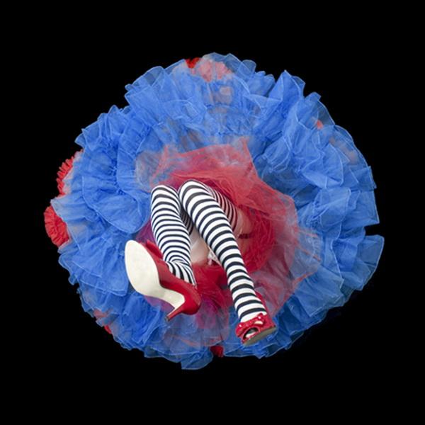 Crinoline Flowers by Daryl Banks