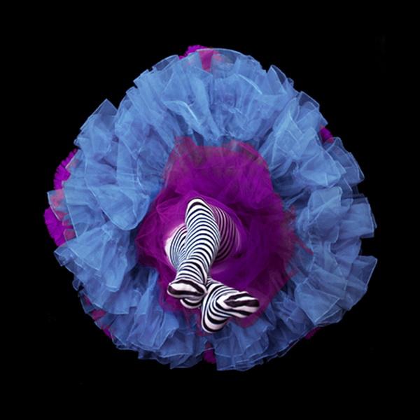 Crinoline Flowers by Daryl Banks