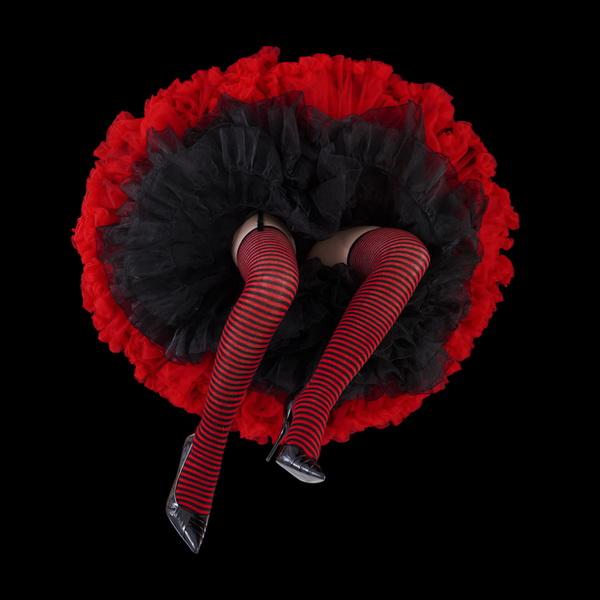 Crinoline Flowers by Daryl Banks