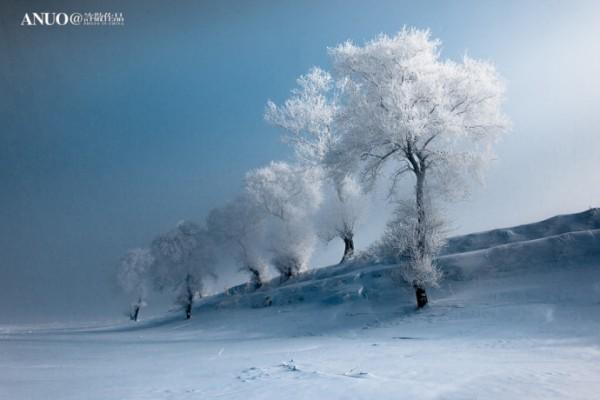 Snow Trees by Xu Jing