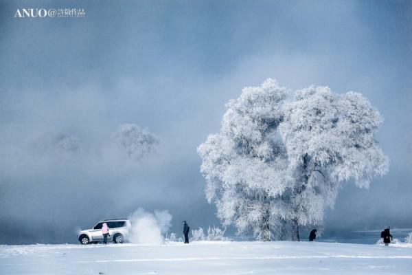 Snow Trees by Xu Jing