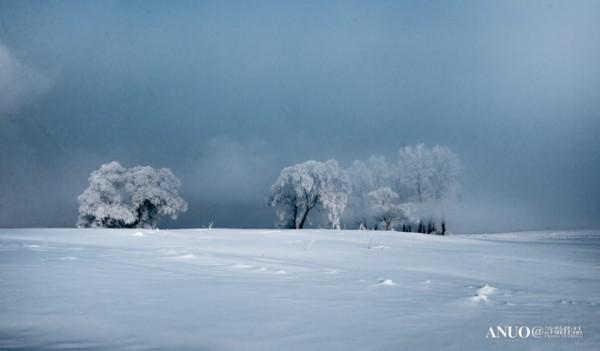 Snow Trees by Xu Jing
