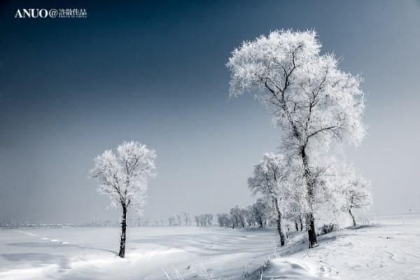 Snow Trees by Xu Jing