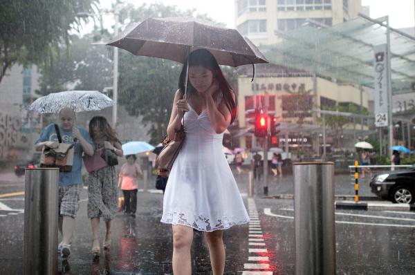 People in the Rain by Danny Santos