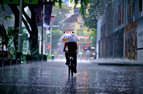 People in the Rain by Danny Santos