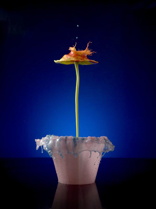 Incredible Splash Photography by Jack Long