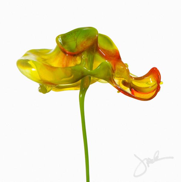 Incredible Splash Photography by Jack Long