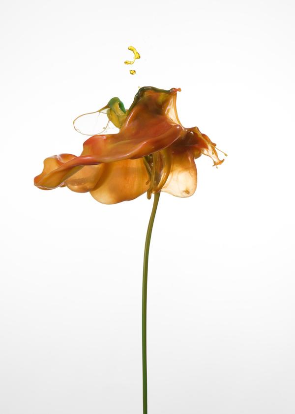 Incredible Splash Photography by Jack Long