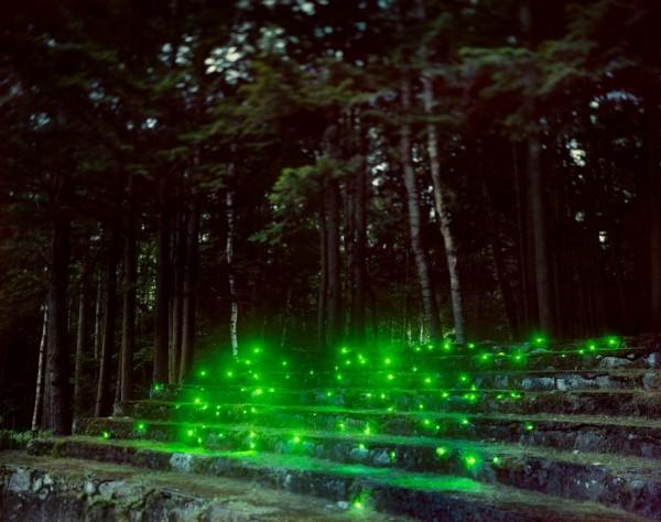 Illuminated Landscapes by Barry Underwood