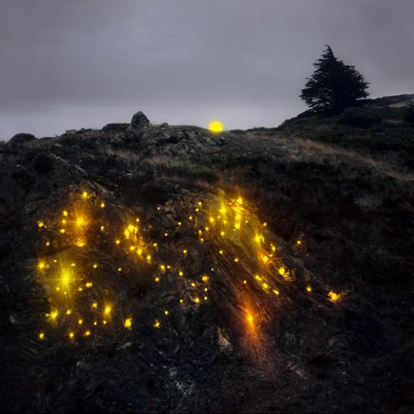 Illuminated Landscapes by Barry Underwood