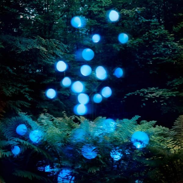 Illuminated Landscapes by Barry Underwood