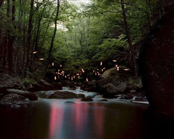 Illuminated Landscapes by Barry Underwood
