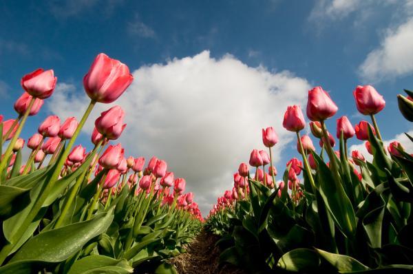 Landscape Photography by Daniel Bosma