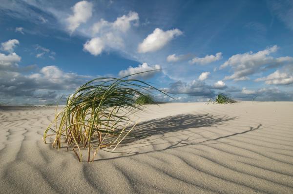 Landscape Photography by Daniel Bosma