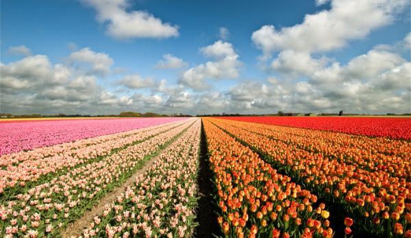 Landscape Photography by Daniel Bosma