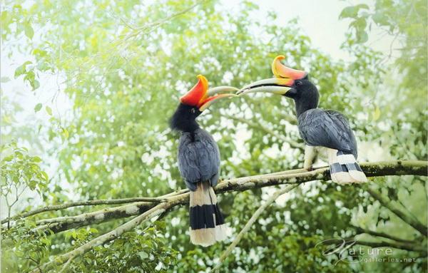 Beautiful Birds by Sompob Sasismit