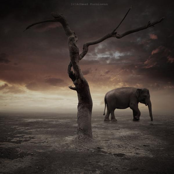 Conceptual Photography by Achmad Kurniawan