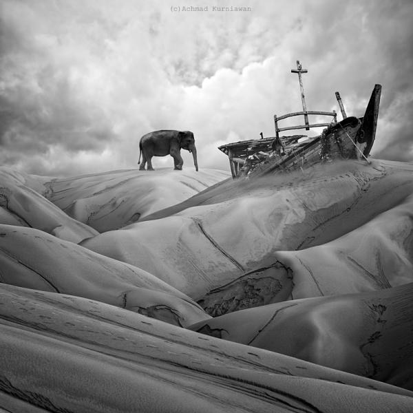 Conceptual Photography by Achmad Kurniawan