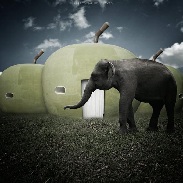 Conceptual Photography by Achmad Kurniawan