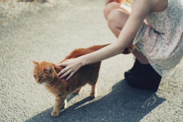 Wonder Photography by nikolinelr