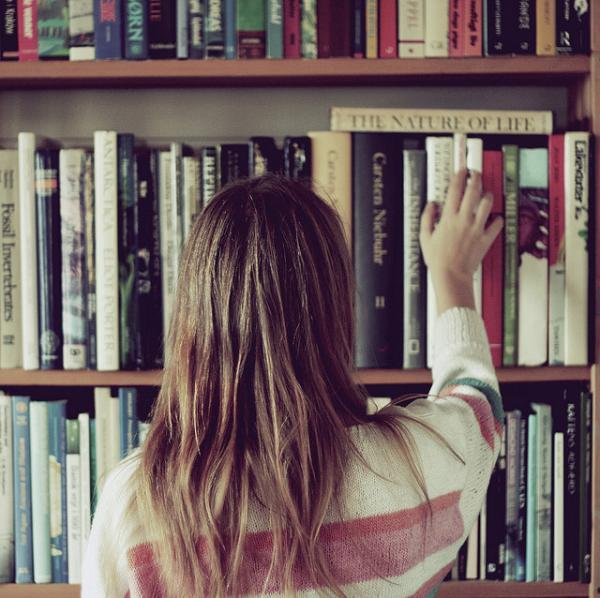 Wonder Photography by nikolinelr