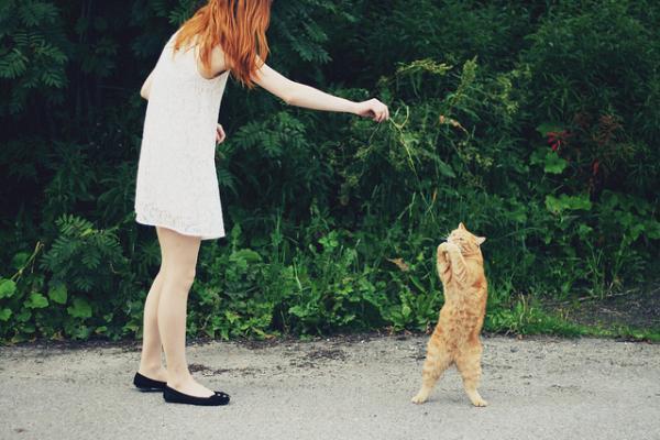 Wonder Photography by nikolinelr
