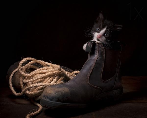 Child photography by Bill Gekas