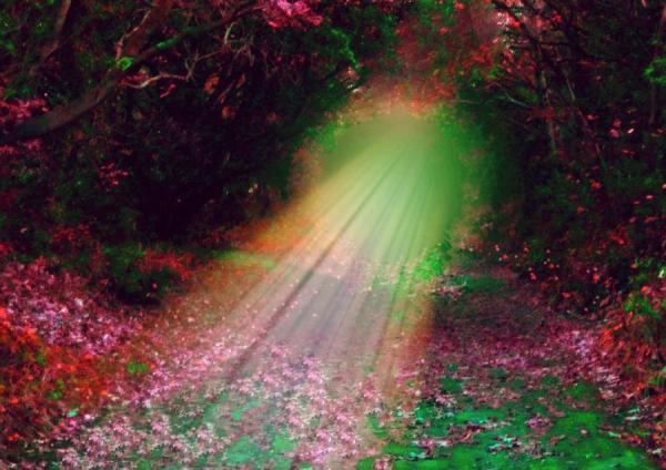 Photography by Josephine Richards