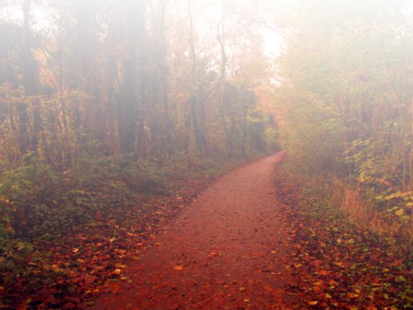 Photography by Josephine Richards