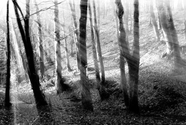 Photography by Josephine Richards