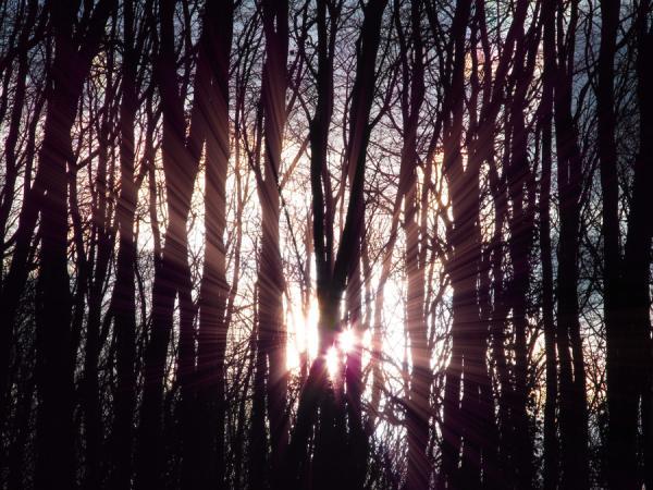 Photography by Josephine Richards