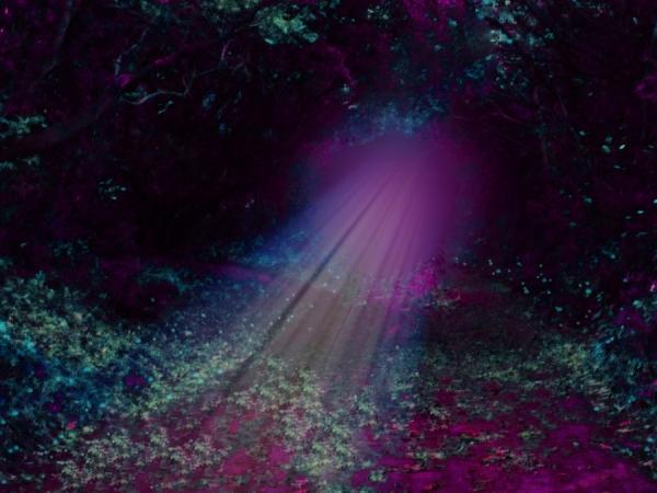 Photography by Josephine Richards